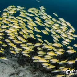 251043042_10158521753946917_124681347129707432_n