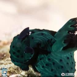 255502093_10158540368871917_8302080087471908969_n