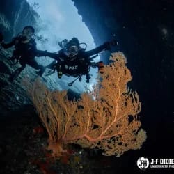 411451449_10159890769116917_7865106364382127094_n