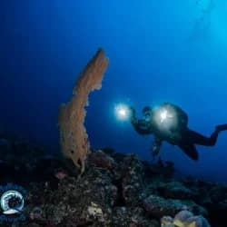 450402336_10160180426346917_2814273481951743978_n