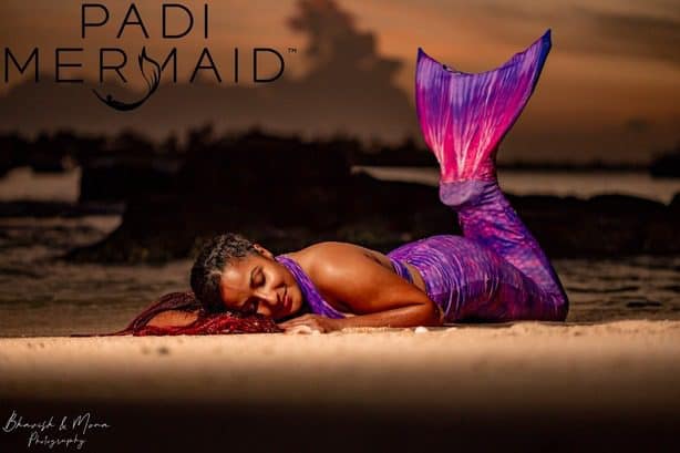 337993921_735719201480129_3583683024520488923_n (1)